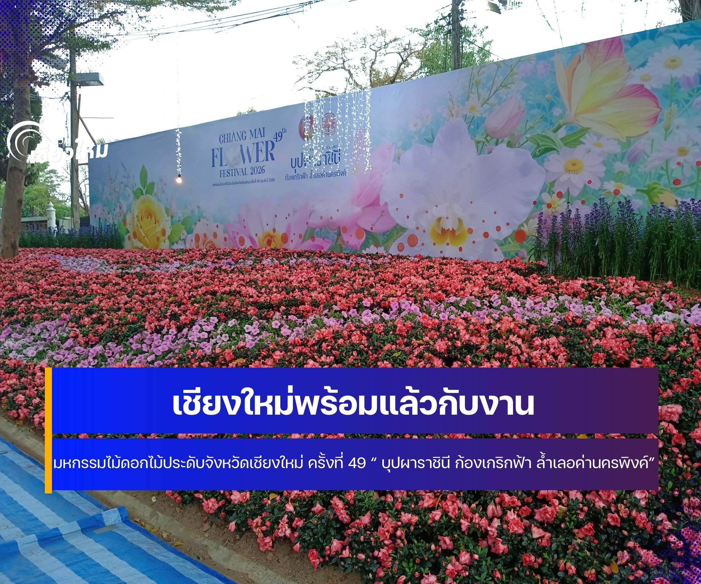 เชียงใหม่พร้อมแล้วกับงาน มหกรรมไม้ดอกไม้ประดับจังหวัดเชียงใหม่ ครั้งที่ 49