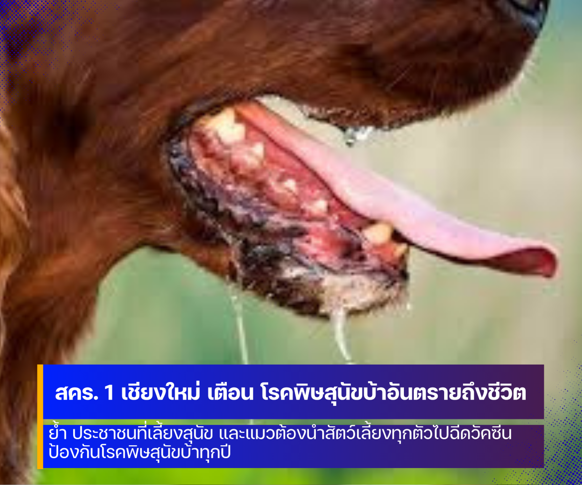 สคร. 1 เชียงใหม่ เตือน โรคพิษสุนัขบ้าอันตรายถึงชีวิต 