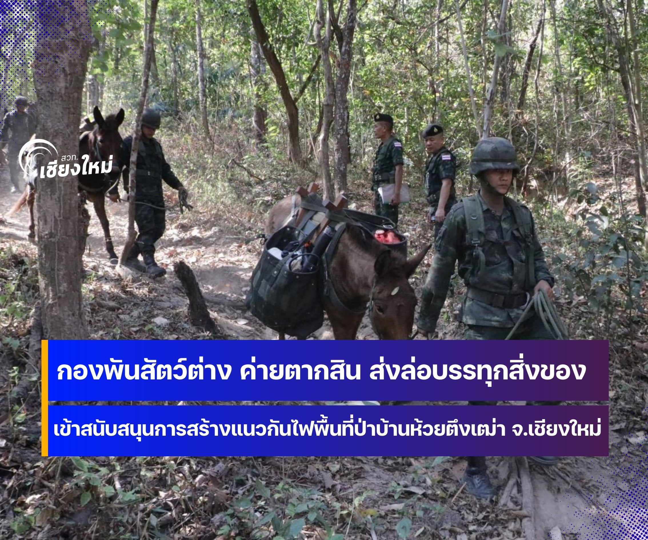 ล่อฮีโร่สี่ขาช่วยดับไฟป่า ที่เชียงใหม่