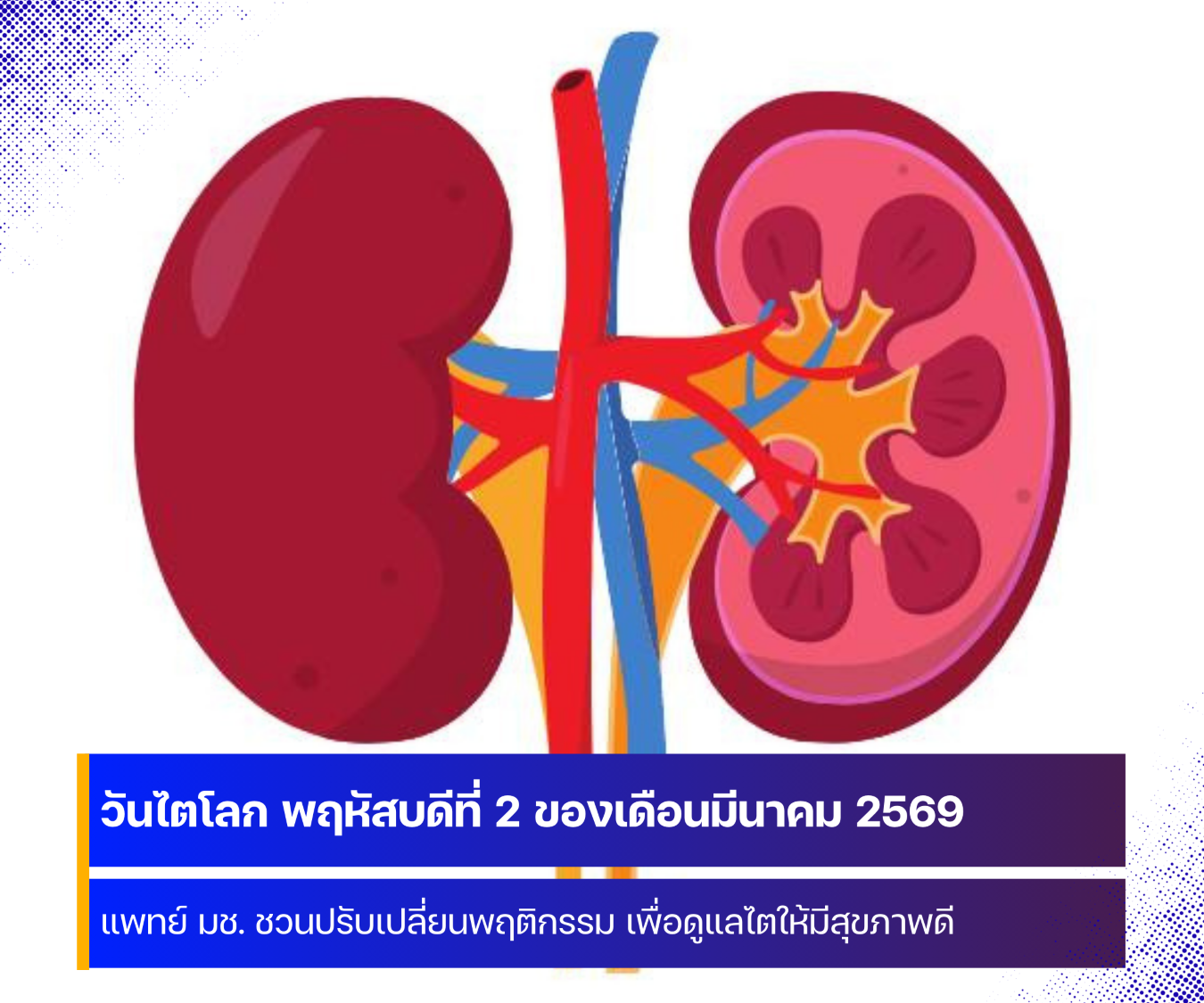 พฤหัสบดีที่ 2 ของเดือนมีนาคม 2569 วันไตโลก (World Kidney Day)