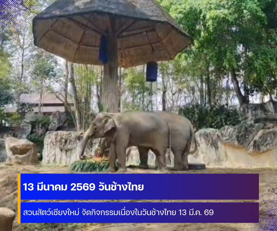 สวนสัตว์เชียงใหม่ จัดกิจกรรมวันช้างไทยประจำปี 2569