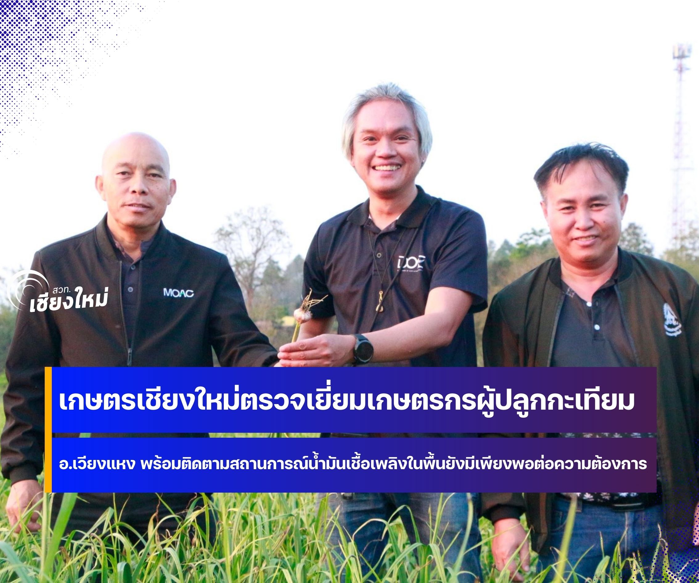 เกษตรเชียงใหม่ ชูกระเทียมของดีเวียงแหง เก็บได้นานข้ามปี ไม่ฝ่อ