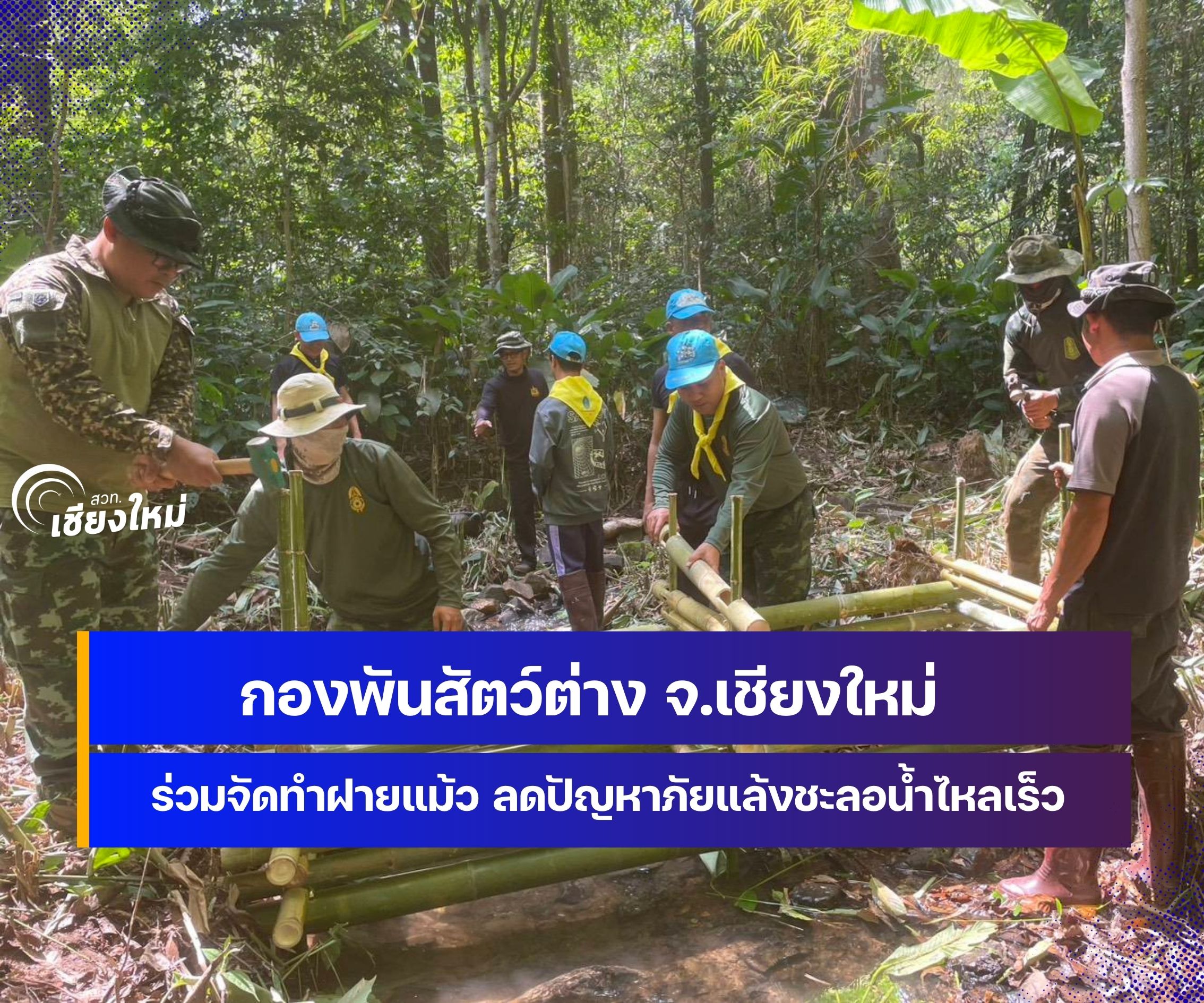 กองพันสัตว์ต่าง จ.เชียงใหม่ ร่วมจัดทำฝายแม้ว ลดปัญหาภัยแล้งชะลอน้ำไหลเร็ว