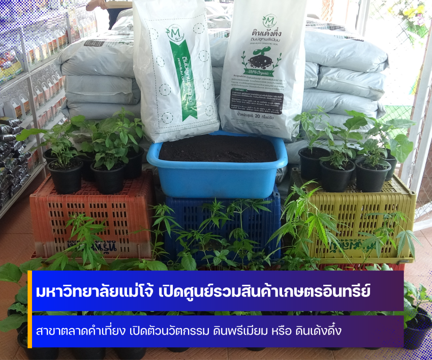 ศูนย์วิจัยและพัฒนาเกษตรธรรมชาติ มหาวิทยาลัยแม่โจ้ เปิดร้านค้าเพื่อเป็นศูนย์รวมสินค้าเกษตรอินทรีย์