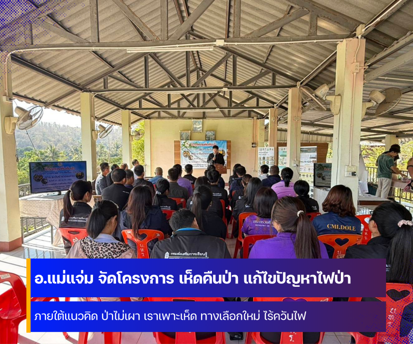 อำเภอแม่แจ่ม จัดโครงการ เห็ดคืนป่า แก้ไขปัญหาไฟป่า หมอกควัน และฝุ่น PM 2.5