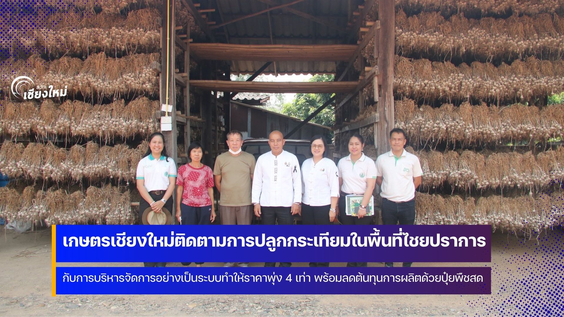 เกษตรกรไชยปราการ บริหารจัดการกระเทียมครบวงจร ราคาพุ่ง 4 เท่า