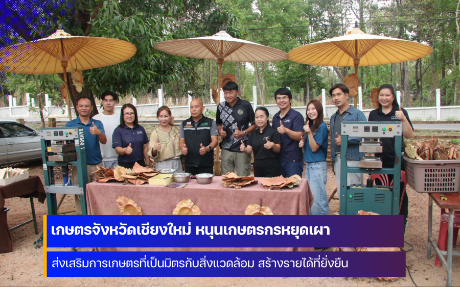 จังหวัดเชียงใหม่ หนุนเกษตรกรหยุดเผา ส่งเสริมใบไม้คืนชีวิตสร้างได้สู่ชุมชน