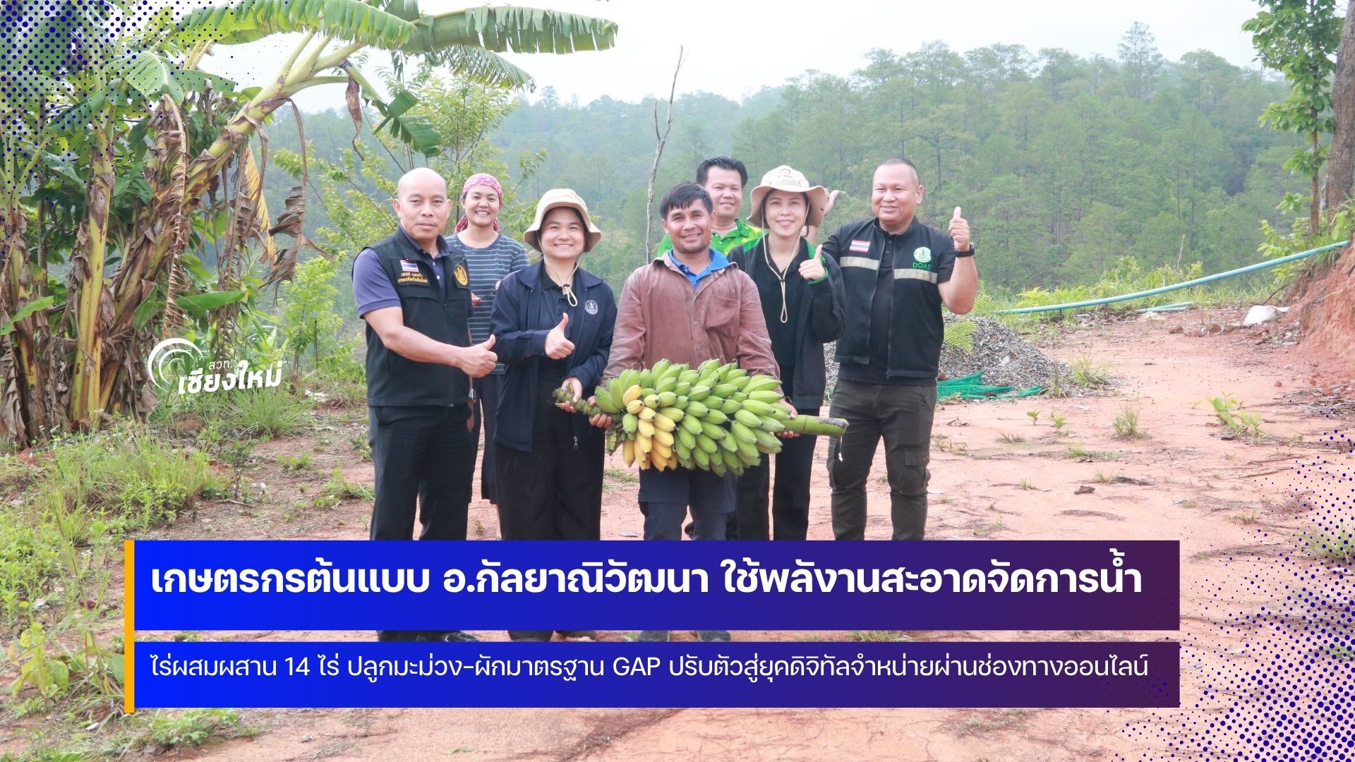 เกษตรเชียงใหม่ ชู ศพก. อ.กัลยาณิวัฒนา เน้นการทำเกษตรตามระบบ GAP และไม่ใช้ปุ๋ยเคมี