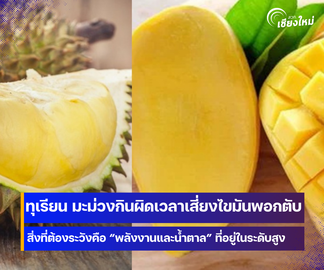 แพทย์ มช. เตือน ทุเรียน มะม่วง กินผิดเวลา เสี่ยงไขมันพอกตับไม่รู้ตัว 