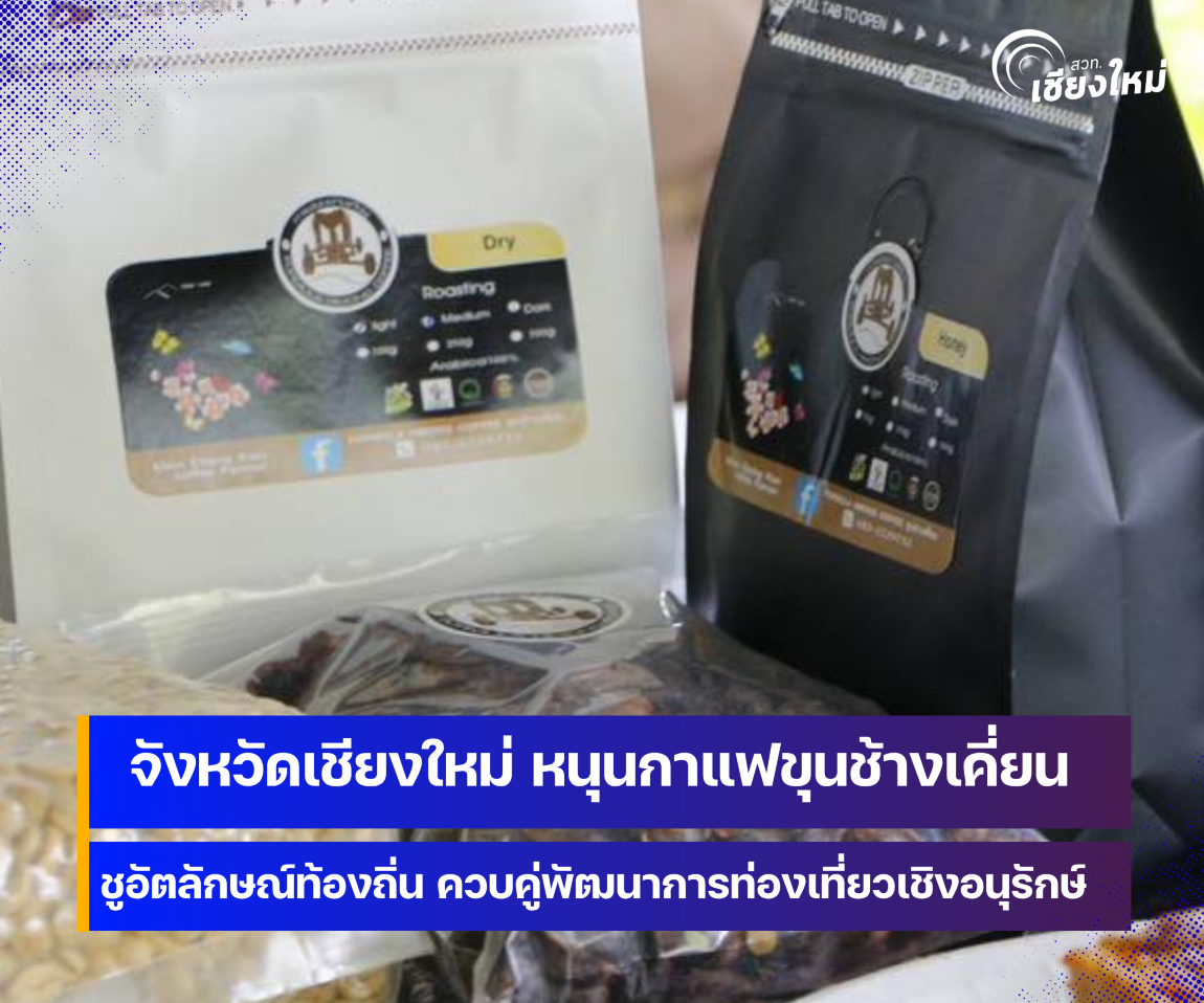 จังหวัดเชียงใหม่ หนุนกาแฟขุนช้างเคี่ยน ชูอัตลักษณ์ท้องถิ่น
