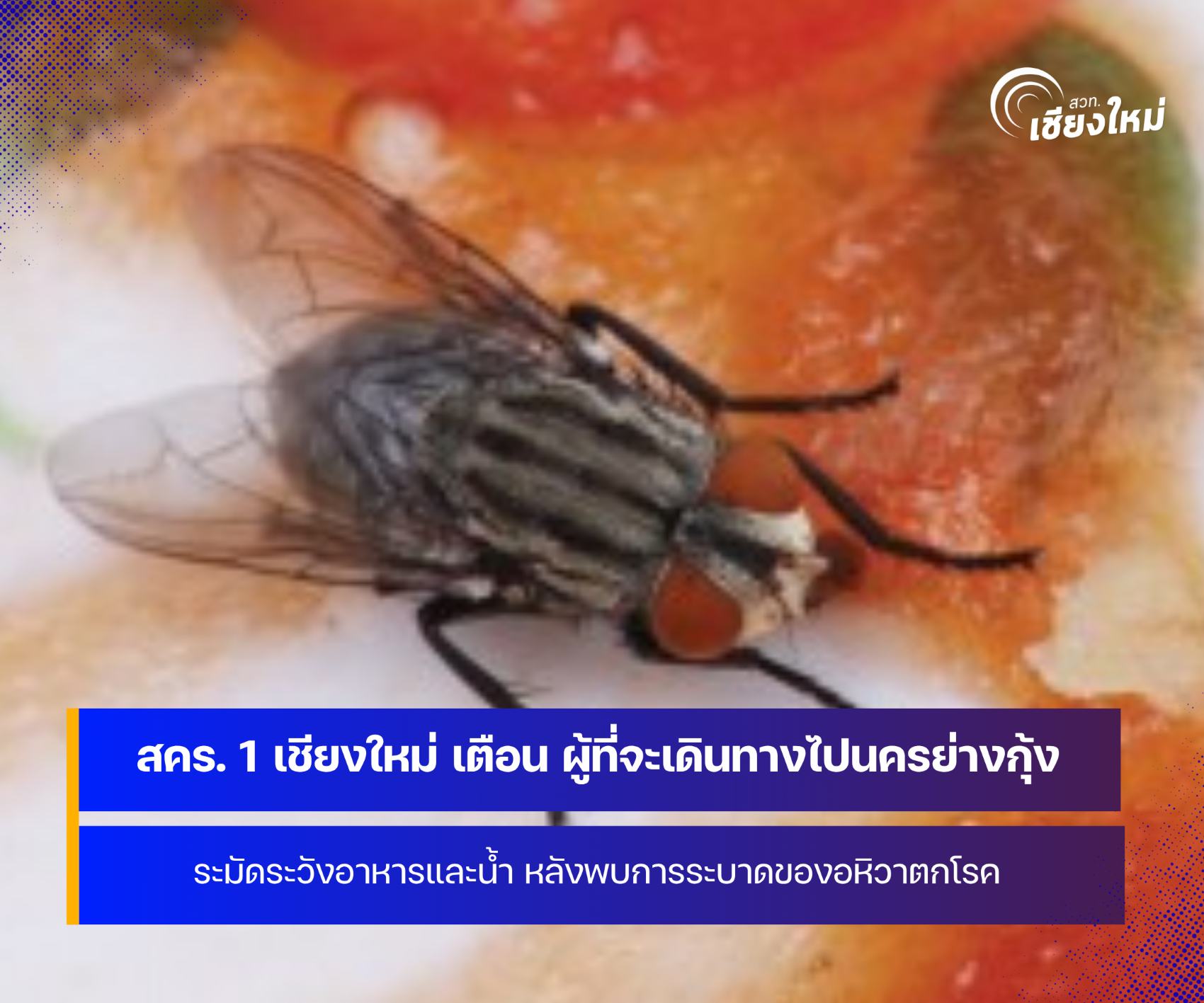 สคร. 1 เชียงใหม่ เตือน ผู้ที่กำลังจะเดินทางไปนครย่างกุ้ง ระมัดระวังอาหารและน้ำ หลังพบการระบาดของอหิวาตกโรค
