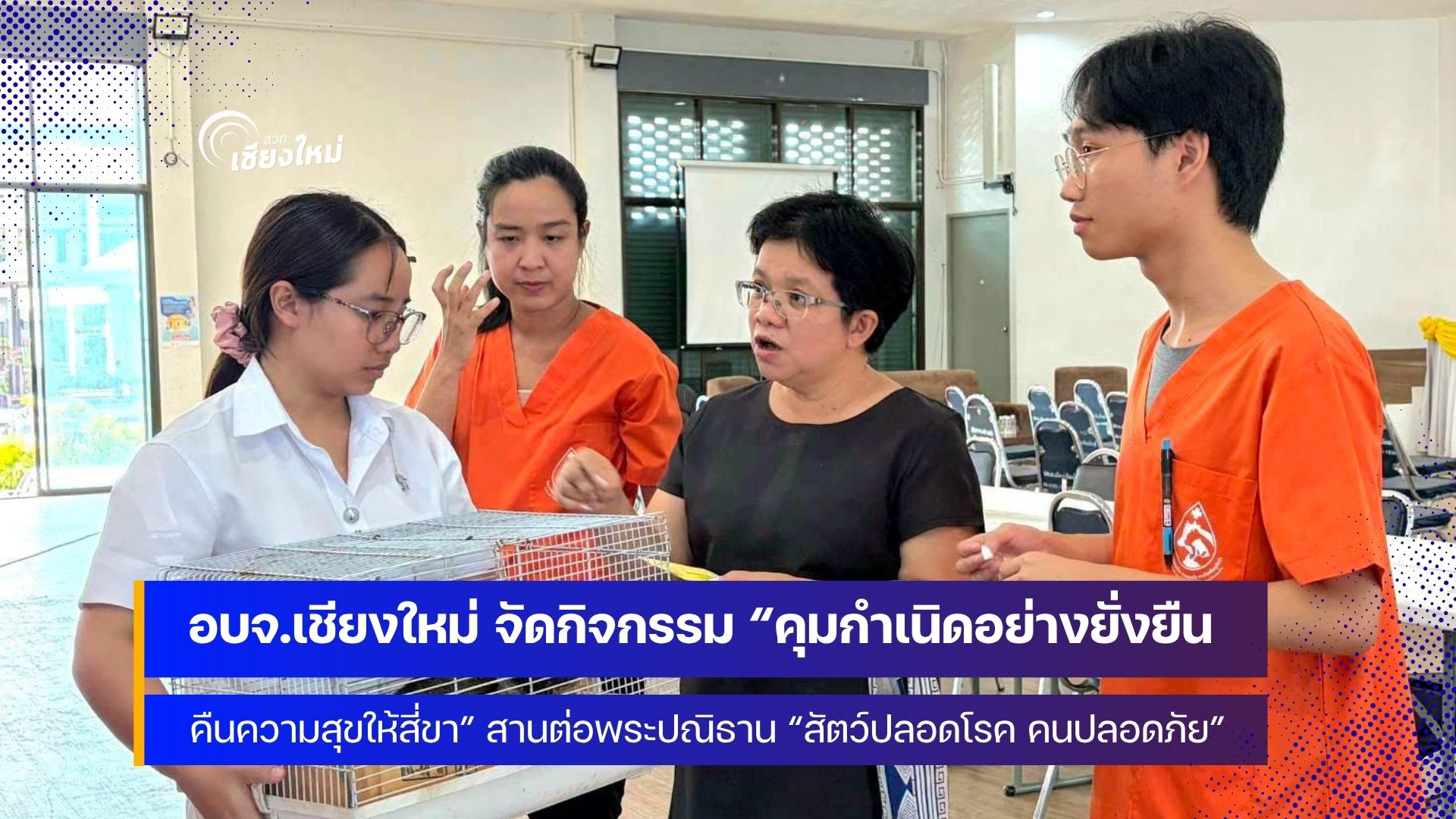 อบจ.เชียงใหม่ ทำหมันสุนัข-แมว 200 ตัว สานต่อพระปณิธาน &ldquo;สัตว์ปลอดโรค คนปลอดภัย&rdquo;&nbsp;