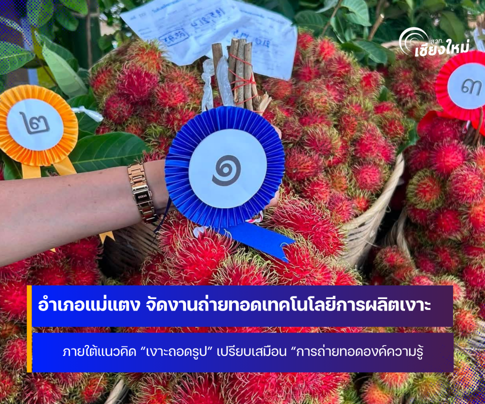 จังหวัดเชียงใหม่ จัดงาน ถ่ายทอดเทคโนโลยีการผลิตเงาะอำเภอแม่แตง ประจำปี 2569