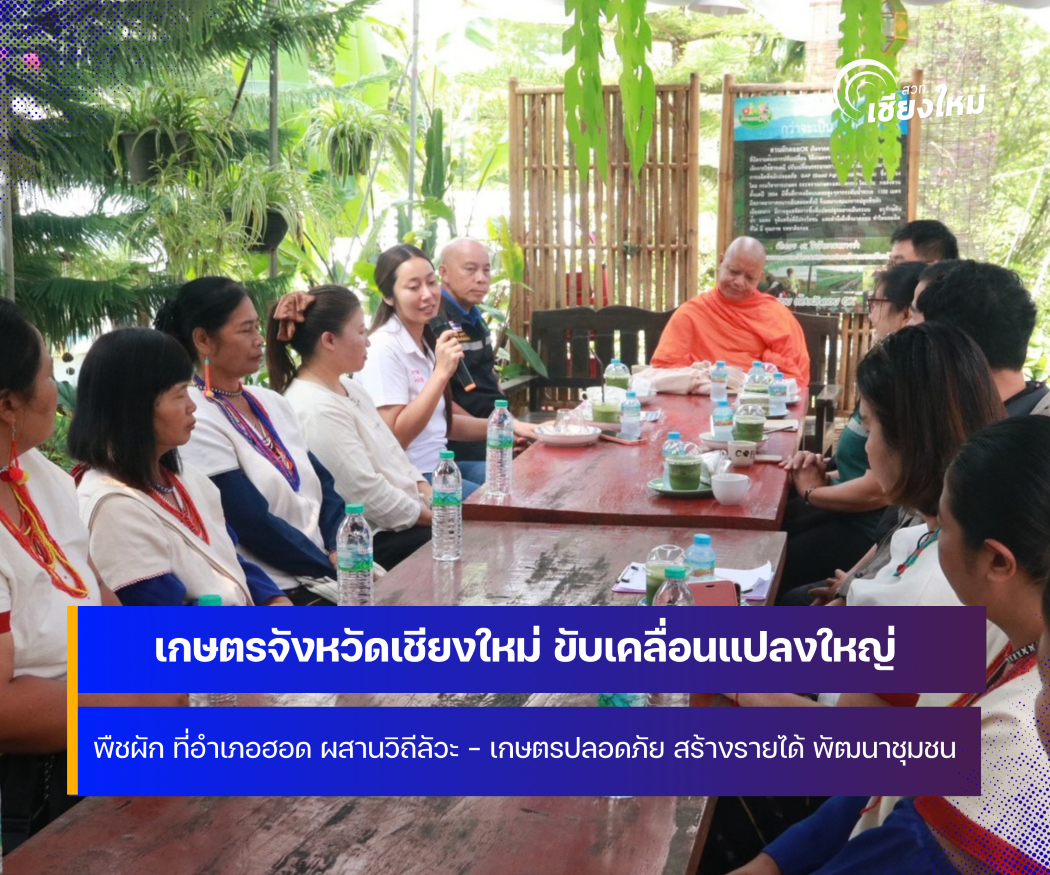 เกษตรจังหวัดเชียงใหม่ ขับเคลื่อน แปลงใหญ่พืชผัก สร้างรายได้ ในพื้นที่อำเภอฮอด