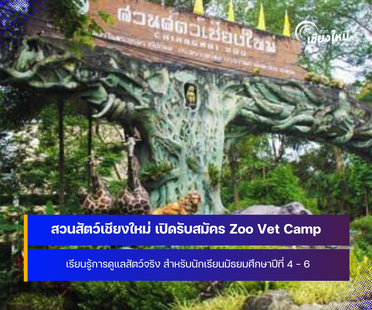 สวนสัตว์เชียงใหม่ เปิดรับสมัคร Zoo Vet Camp เปิดประสบการณ์เรียนรู้การดูแลสัตว์จริง